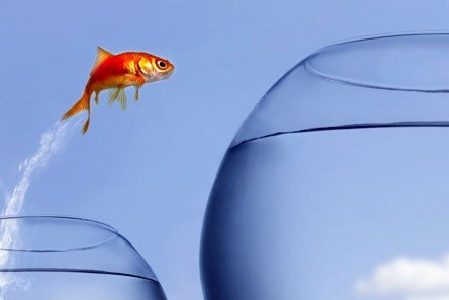 Musings from the eye of the storm: Learning from the past disruptions..